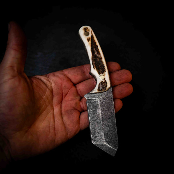 Stubby — Full Deer Antler