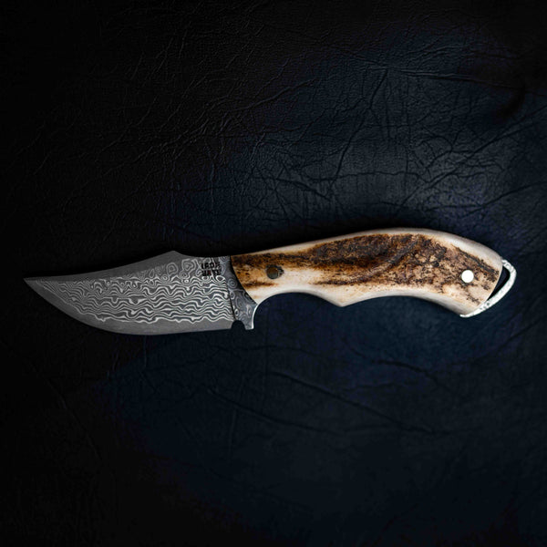 Mini Skinner — Full Fallow Deer Antler