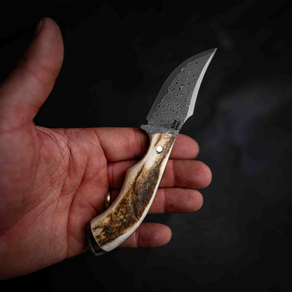 Mini Skinner — Full Fallow Deer Antler