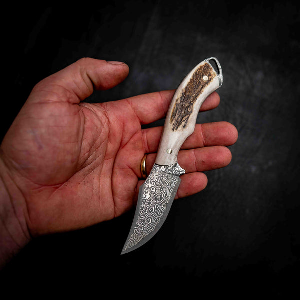 Mini Skinner — Full Fallow Deer Antler