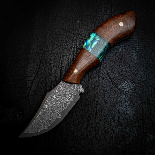 Mini Skinner — Ringed Gidgee & Abalone Inlay