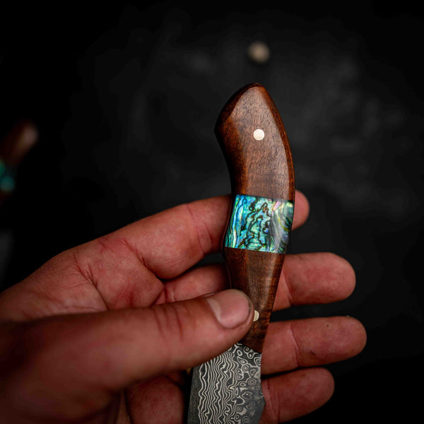 Mini Skinner — Ringed Gidgee & Abalone Inlay