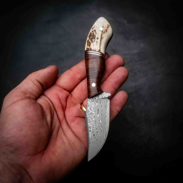 Mini Skinner — Ringed Gidgee, Copper & Deer Antler