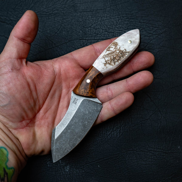 The Talon — Amboyna Burl & Fallow Deer Antler