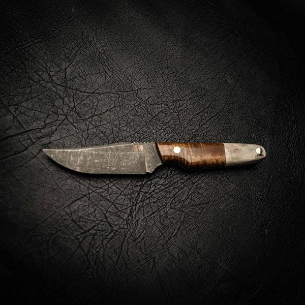 Scout — Curly Acacia & Fallow Deer Antler — Alternate view | Iron Gate Knives