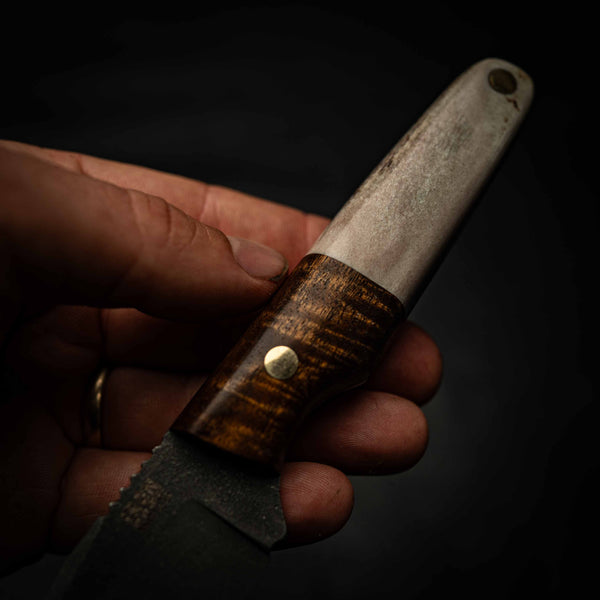 Scout — Fallow Deer Antler & Tasmanian Blackwood — View 6 | Iron Gate Knives