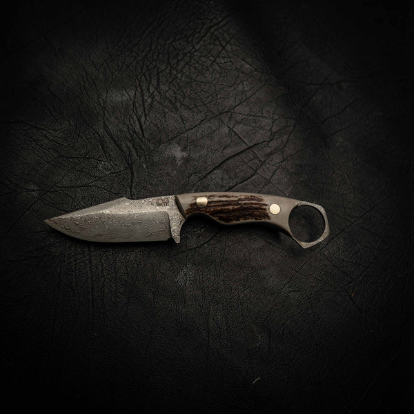 Mini Hunter — Damascus & Deer Antler — Detail view | Iron Gate Knives