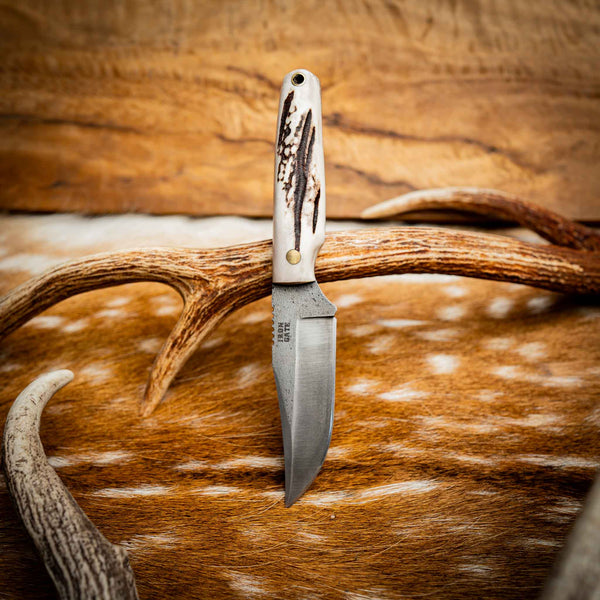 Scout — Deer Antler