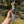 Small Stonewash Hunter