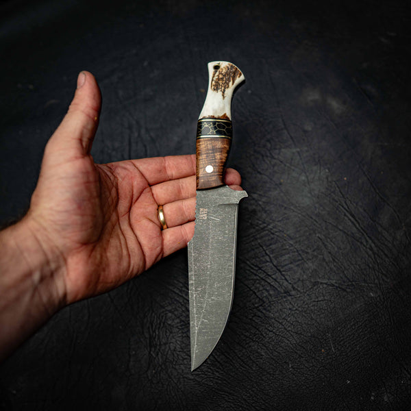 Hunter – Tassie Blackwood & Antler