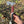 Carbon Steel Tomahawk - Ringed Gidgee and G10