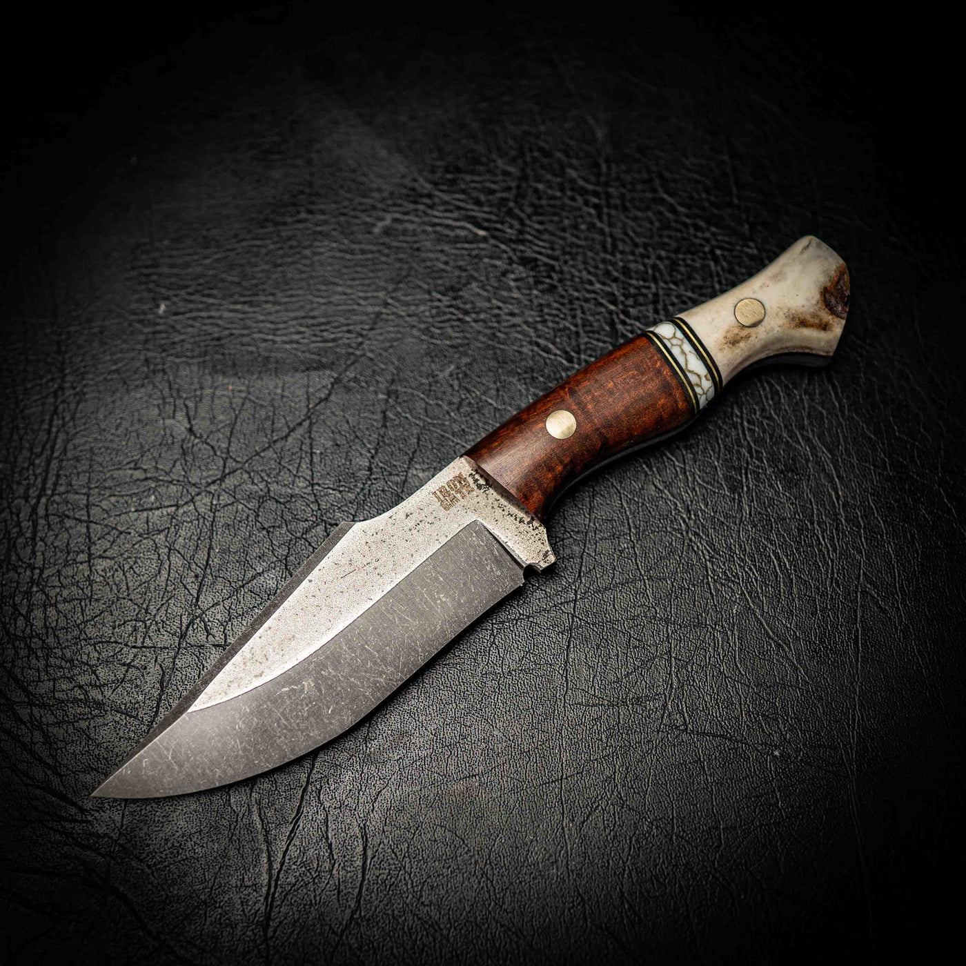 Elmax Hunter – Ringed Gidgee, White TruStone Spacer & Deer Antler — Iron Gate Knives | Handmade in Australia