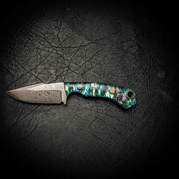 Mini Hunter – Stainless Random Damascus San Mai & Full Abalone Handle
