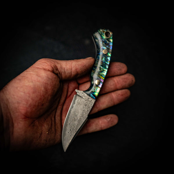 Mini Hunter – Stainless Random Damascus San Mai & Full Abalone Handle