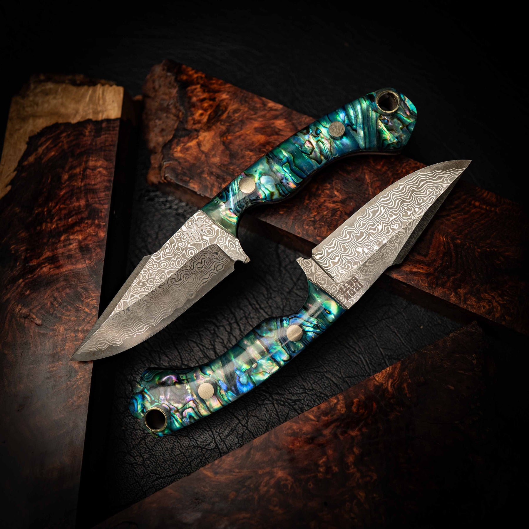 Abalone Shell Knives — Iron Gate Knives | Handmade in Australia