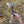 Carbon Steel Tomahawk - Dyed Birch and Antler