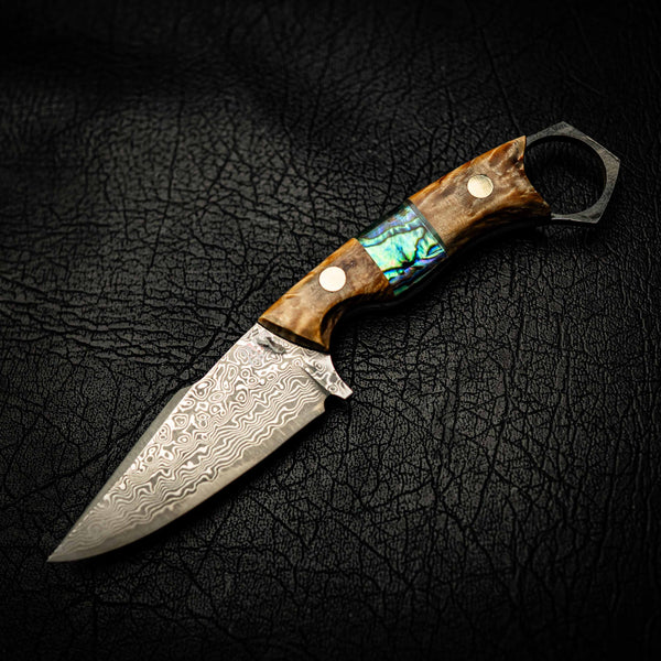 Damascus Mini Hunter – Stabilised Curly Birch with Abalone Inlay