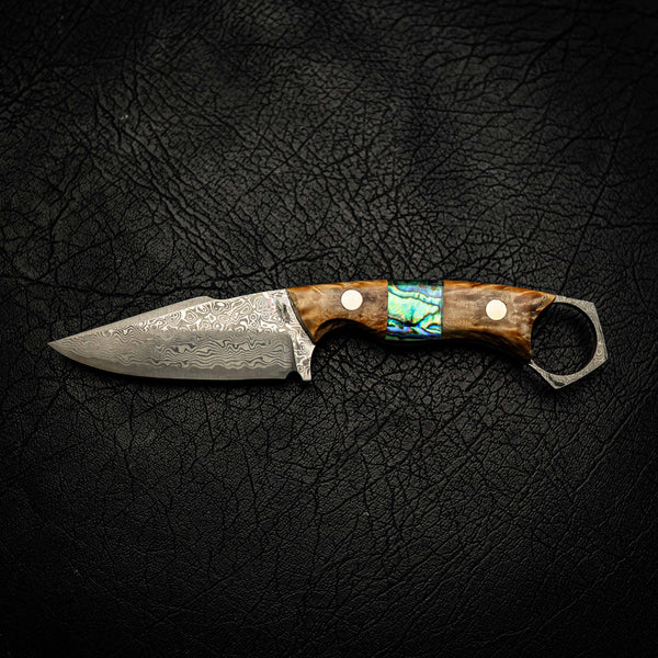 Damascus Mini Hunter – Stabilised Curly Birch with Abalone Inlay