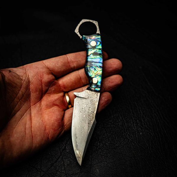 Damascus Mini Hunter – Full Abalone Shell (Paua)