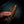 Bushcraft Knife — Stabilised York Gum