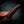 Bushcraft Knife — Figured Western Myall