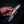 Ergo Skinner — Deer Antler