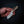 Notch — Deer Antler