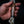 XL Bear — Tasmanian Blackwood, TruStone & Deer Antler