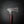 Camp Axe with Ringed Gidgee and Fallow Deer Antler Handle