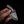 Drop Bear Mini EDC Knife – 440C Stainless & Carbon handle