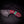 Drop Bear Mini EDC Knife – 440C Stainless & Pink Dyed Birch