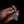 Drop Bear Mini EDC Knife – 440C Stainless & Lace Sheoak