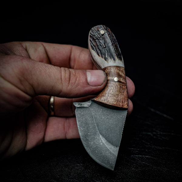Drop Bear Mini EDC Knife – 440C Stainless, Blackwood & Deer Antler