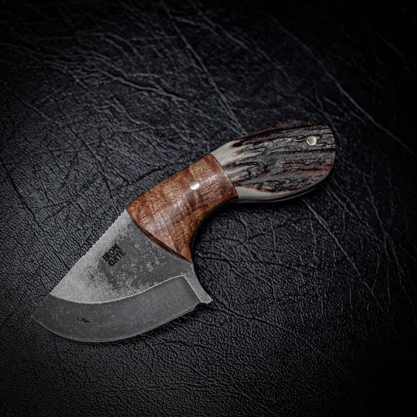 Drop Bear Mini EDC Knife – 440C Stainless, Blackwood & Deer Antler