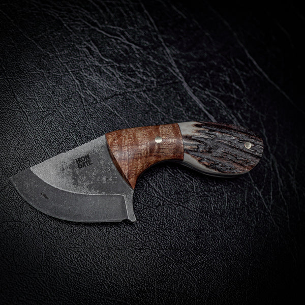 Drop Bear Mini EDC Knife – 440C Stainless, Blackwood & Deer Antler