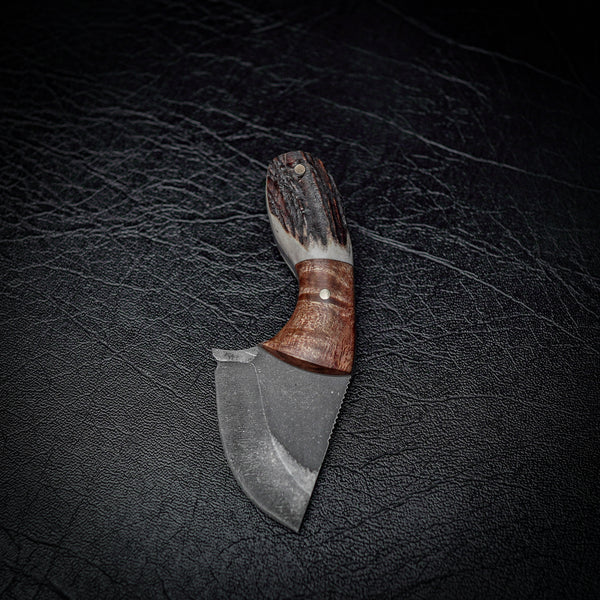 Drop Bear Mini EDC Knife – 440C Stainless, Blackwood & Deer Antler