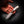 Wedgetail — Deer Antler & Ringed Gidgee (Stonewashed N690)