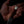 The Crow — Ringed Gidgee, Copper & Deer Antler