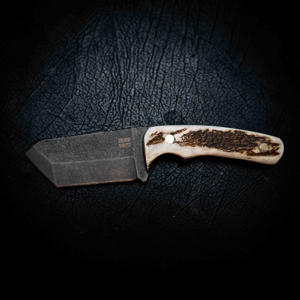 Stubby — Full Deer Antler