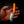 Stubby — Fluorocarbon Glow, Orange