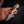 Mini Skinner — Full Fallow Deer Antler