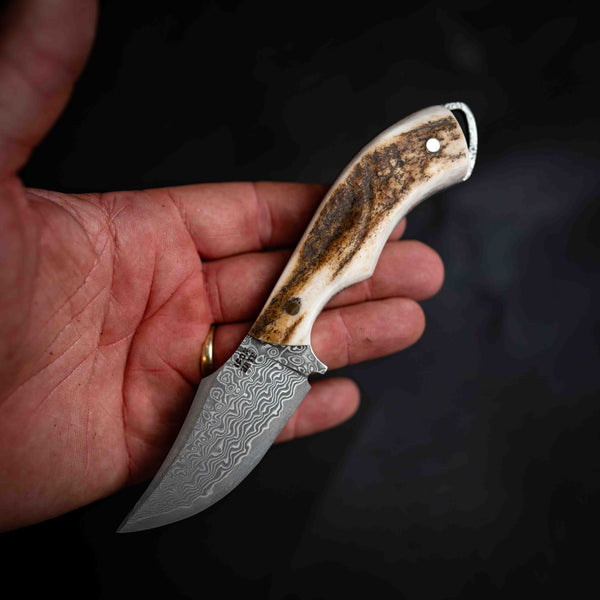 Mini Skinner — Full Fallow Deer Antler