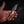 Mini Skinner — Full Fallow Deer Antler