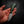 Mini Skinner — Emerald Curly Mango