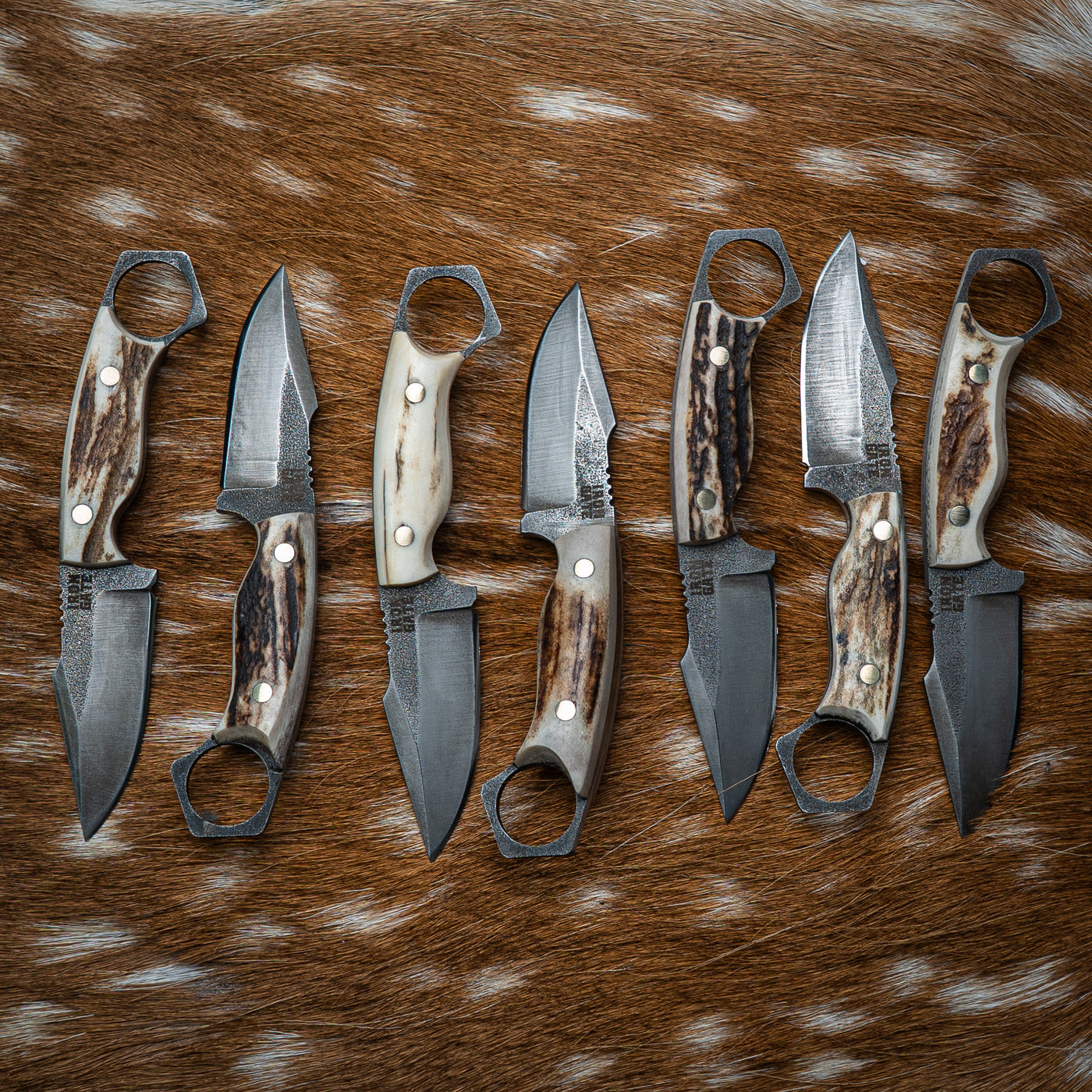 Pre-Order — Mini Hunter — Deer Antler Handle — Iron Gate Knives | Handmade in Australia