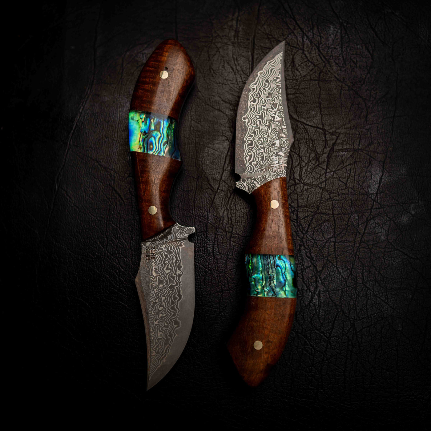 Mini Skinner — Ringed Gidgee & Abalone Inlay