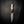 The Crow — Ringed Gidgee & Deer Antler