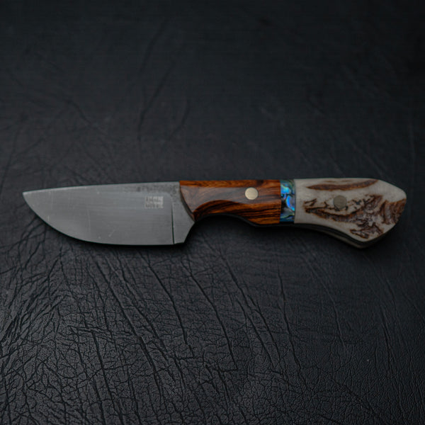 Drop Point Hunter – Deer Antler, Abalone Shell & Arizona Ironwood