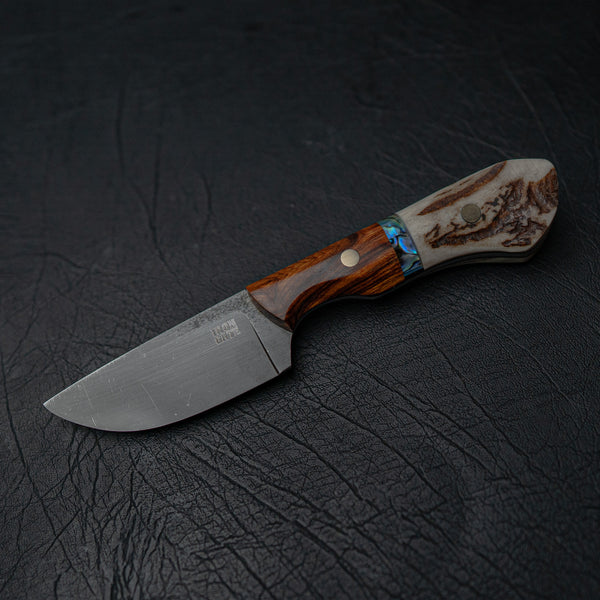 Drop Point Hunter – Deer Antler, Abalone Shell & Arizona Ironwood