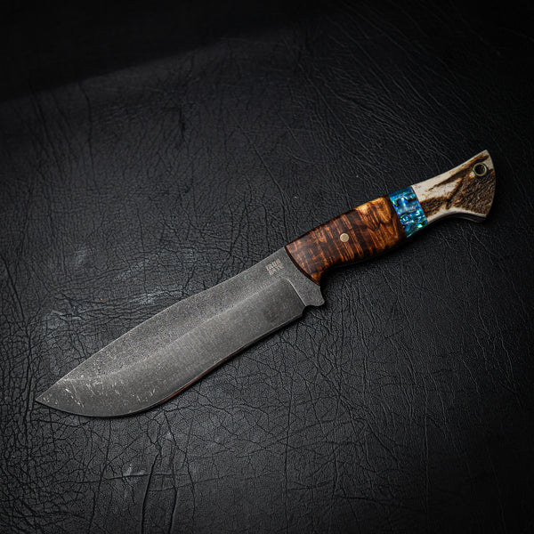 Bear Knife – Gidgee, Abalone and Antler